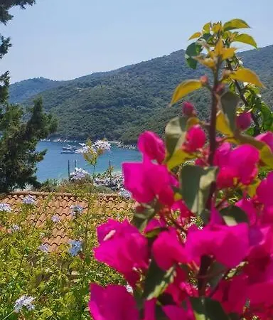 Belvedere Holidey Clab L403 *