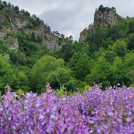 Appartement Belvedere Holidey Clab L403 Bansko