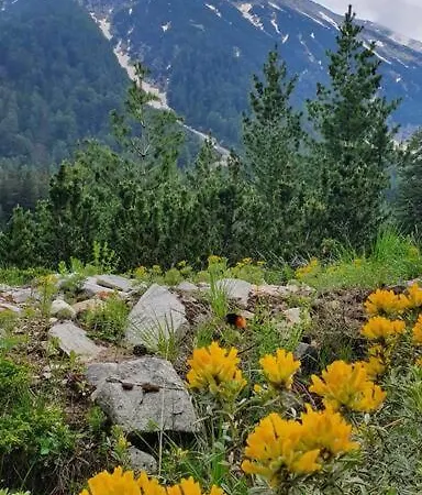 Belvedere Holidey Clab L403 Banszko