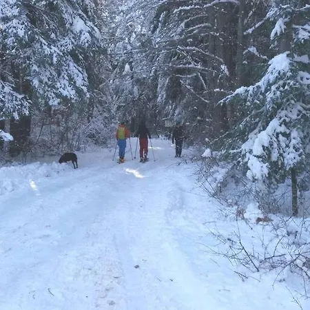 Belvedere Holidey Clab L403 Apartman