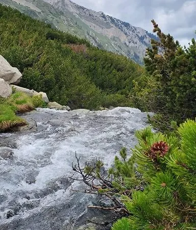 Belvedere Holidey Clab L403 公寓 *