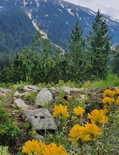 Belvedere Holidey Clab L403 Bansko