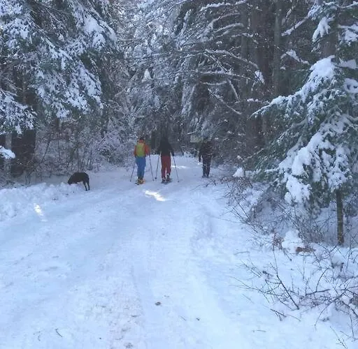 Belvedere Holidey Clab L403 Apartmán