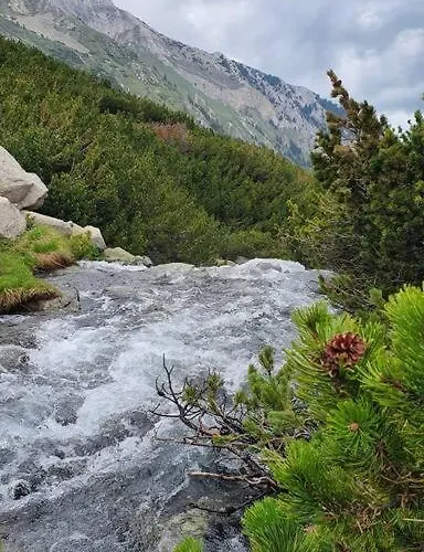 Belvedere Holidey Clab L403 公寓 *