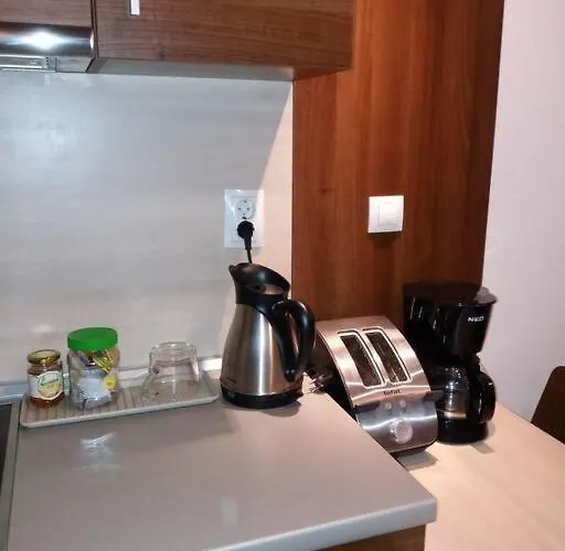 Apartmán Belvedere Holidey Clab L403 Bansko