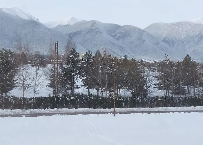 Belvedere Holidey Clab L403 班斯科