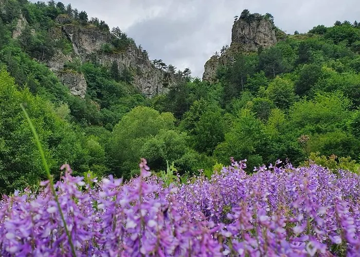 Apartmán Belvedere Holidey Clab L403 Bansko